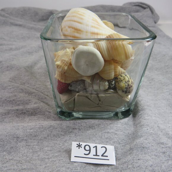 REAL Sea Shells in a Glass Square Vase and sand #7 - Picture 4 of 10